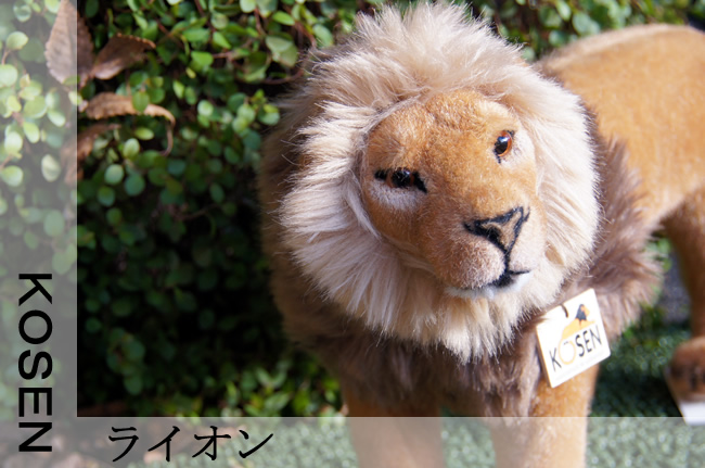 ケーセン社 オスライオン
